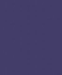 Jive CUE10413 Bluey