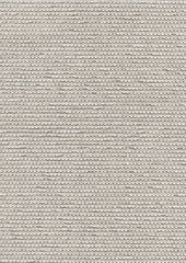 Cercle 219903 Pashmina