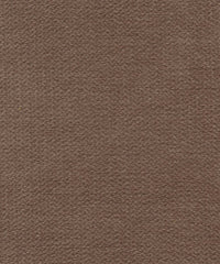 Cloud 221503 Fango