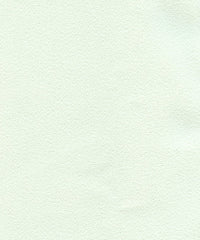 Conrad 220609 Menthe
