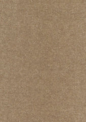 Delano Mohair 664279 Baja Taupe