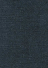 Dash Velvet Cr80296 Indigo Blue