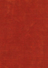 Dash Velvet Cr80315 Flame
