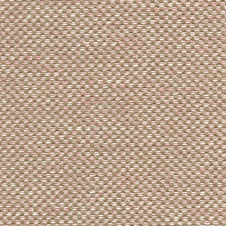 Dimitri Mtr604 Rosebuds