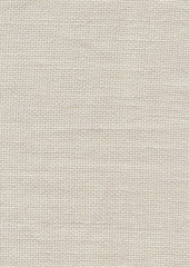 Ripple E032 Husk