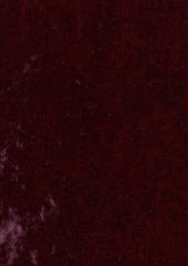 Galaxy 192065 Pino Noir