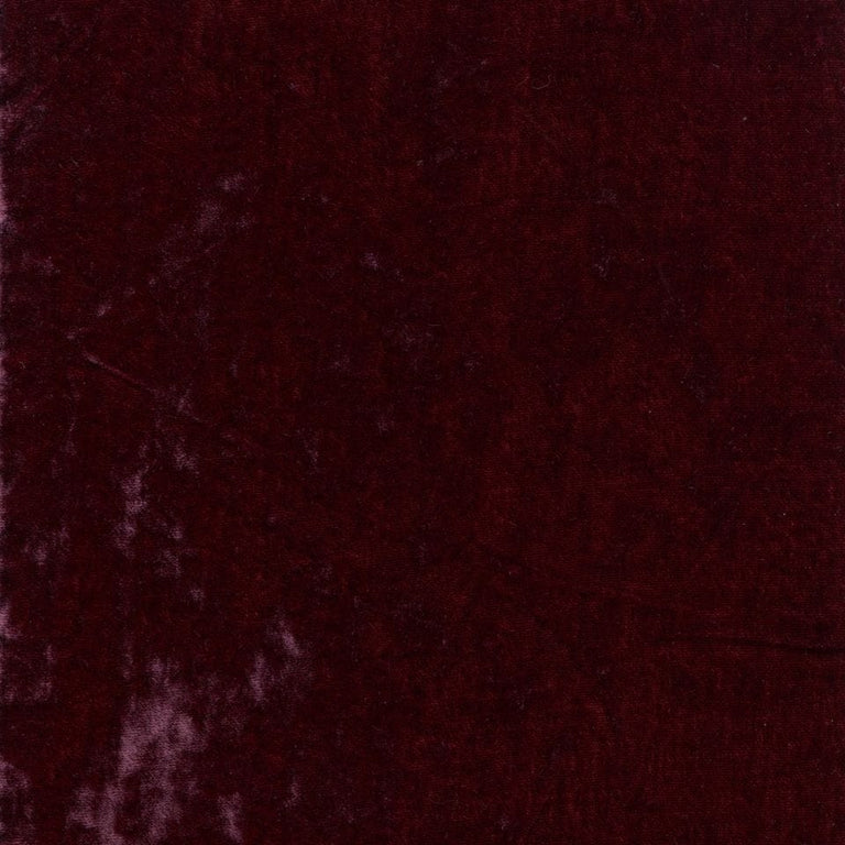 Galaxy 192065 Pino Noir