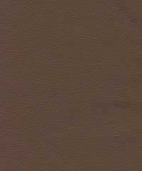Genesis Cl323 Dark Brown