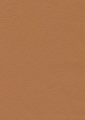 Genesis Cl326 Tannery