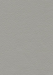 Genesis Cl336 Stone