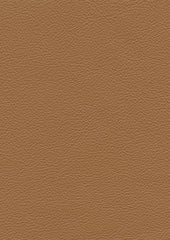 Genesis Cl348 Almond