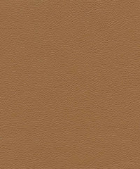 Genesis Cl348 Almond