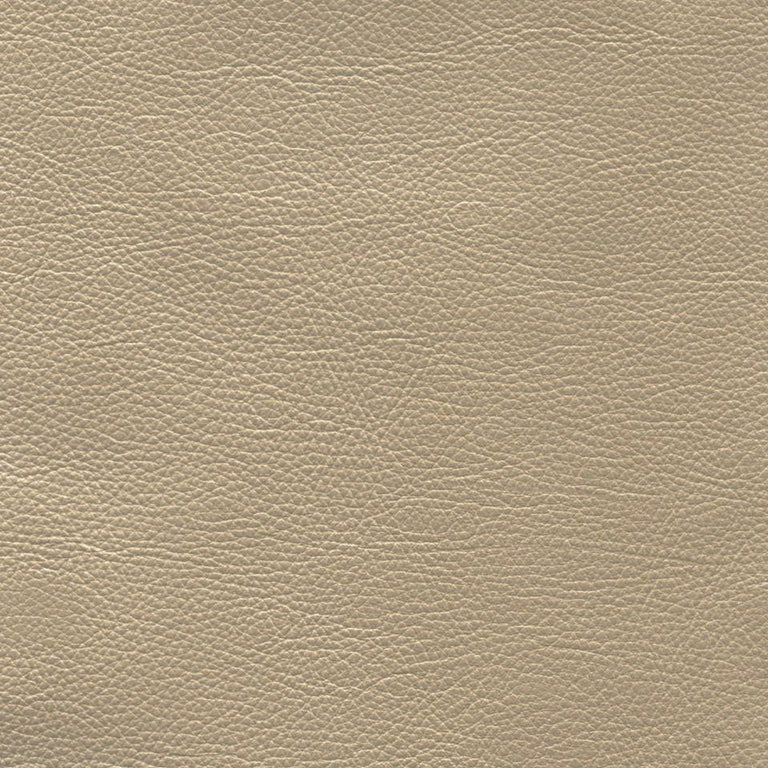 GlistenMetallicLeather(HalfHide) Cl601 Stellar