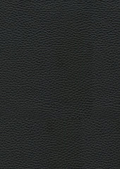 Hazel-Leather Lx5006 Noir