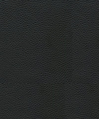 Hazel-Leather Lx5006 Noir