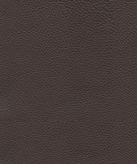 Hazel-Leather Lx5009 Cocoa