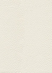 Hazel-Leather Lx5011 Ivory