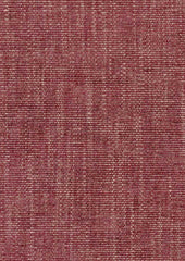 Indy 173060 Tamarillo