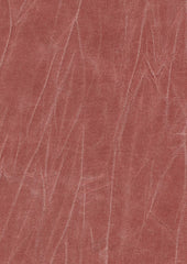 Jagger 193000 Pale Rose