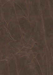 Jagger 193001 Dark Roast