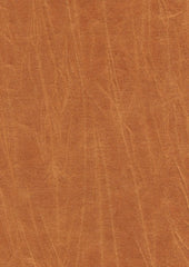 Jagger 193003 Golden Oak