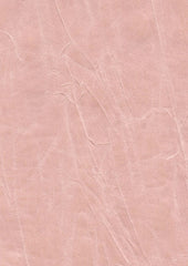 Jagger 193004 Pink Chemise