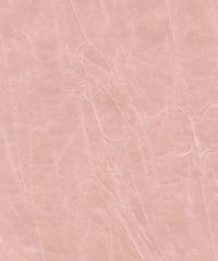 Jagger 193004 Pink Chemise