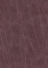 Jagger 193006 Crescent