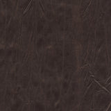 Jagger 193010 Dark Walnut