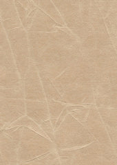 Jagger 193015 Sunsoaked