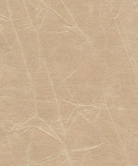 Jagger 193015 Sunsoaked