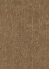 Jagger 193016 Ginger