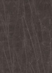 Jagger 193019 Greyback