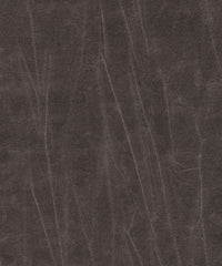 Jagger 193019 Greyback