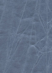 Jagger 193020 Jeans