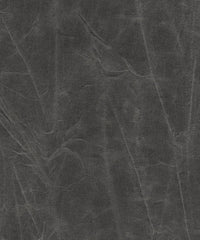 Jagger 193022 Tussled