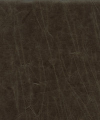 Jagger 33445 Foresta