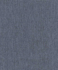 Jasper Js011 Blue Note
