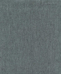 Jasper Js014 Silver Blueberry