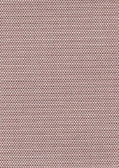 Jasper Js024 Moist Berry
