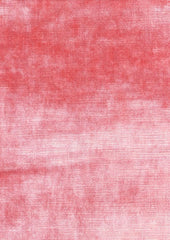 Kahlo 191115 Carnation