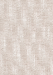 Kismet 221101 Rive