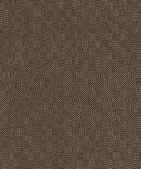 Kismet 221103 Viking