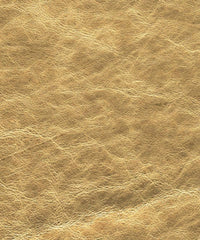 Fez Lx5050 Brass