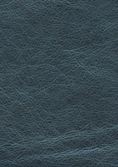 Fez Lx5052 Reef Blue