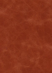 Marrakesh Lx5060 Tangerine