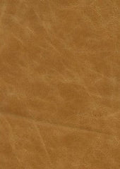 Marrakesh Lx5068 Mustard