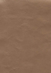 Jazz Lx5078 Copper