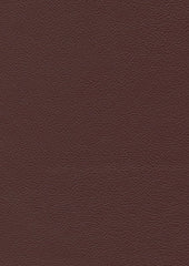 Legend Lx5020 Merlot