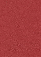 Legend Lx5021 Cardinal